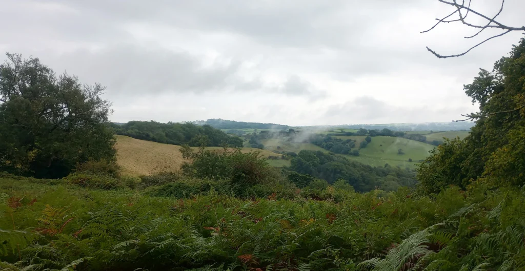 On the brink of Autumn in Melplash