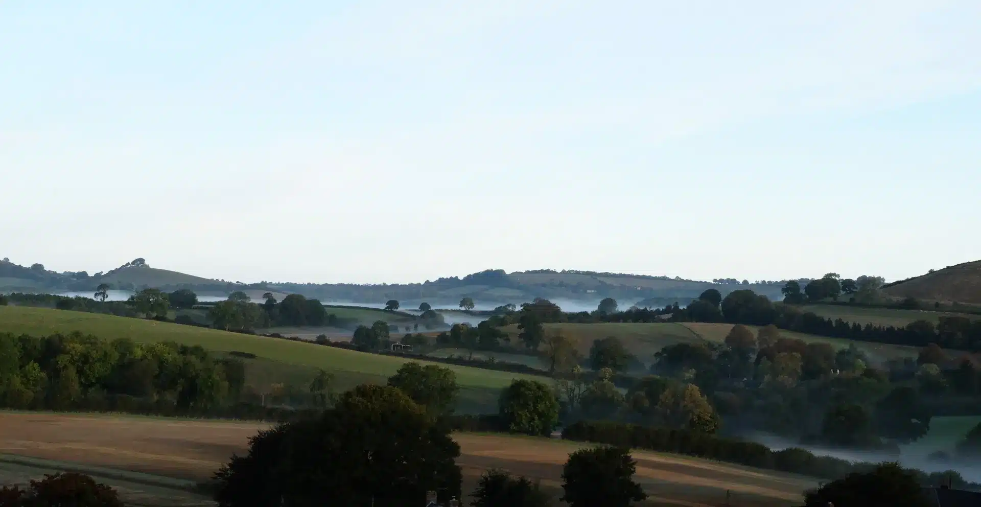 Misty Autumn Morning